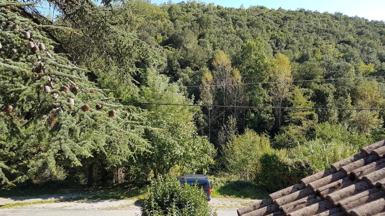 Le Clos Du Cedre Saint Sebastien d'Aigrefeuille Buitenkant foto