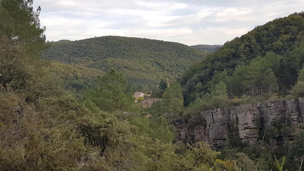 Le Clos Du Cedre Saint Sebastien d'Aigrefeuille Buitenkant foto