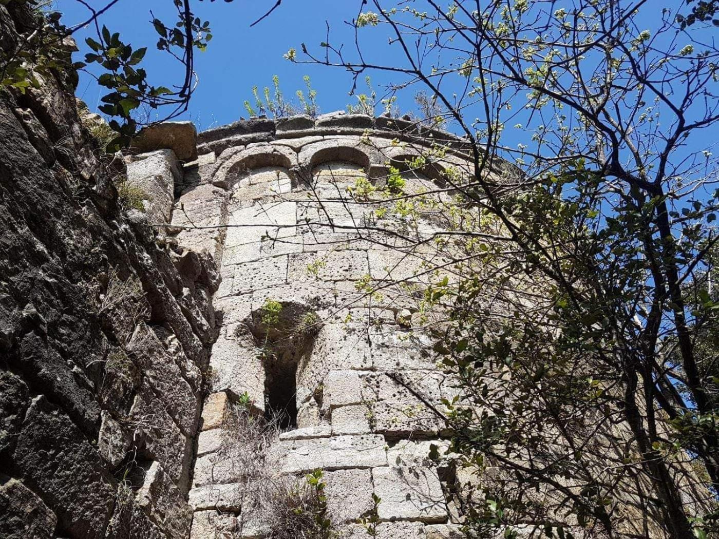 Le Clos Du Cedre Saint Sebastien d'Aigrefeuille Buitenkant foto