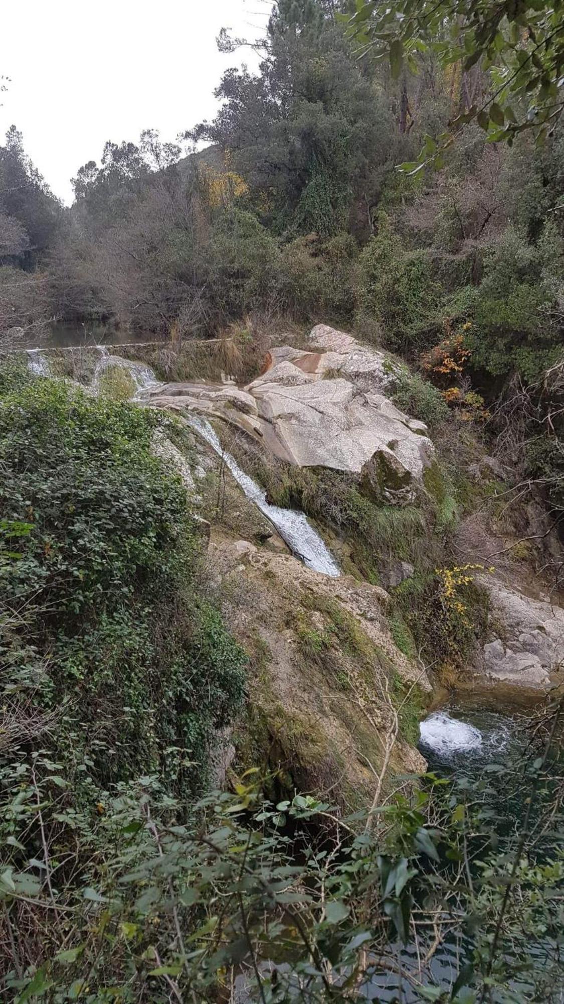 Le Clos Du Cedre Saint Sebastien d'Aigrefeuille Buitenkant foto