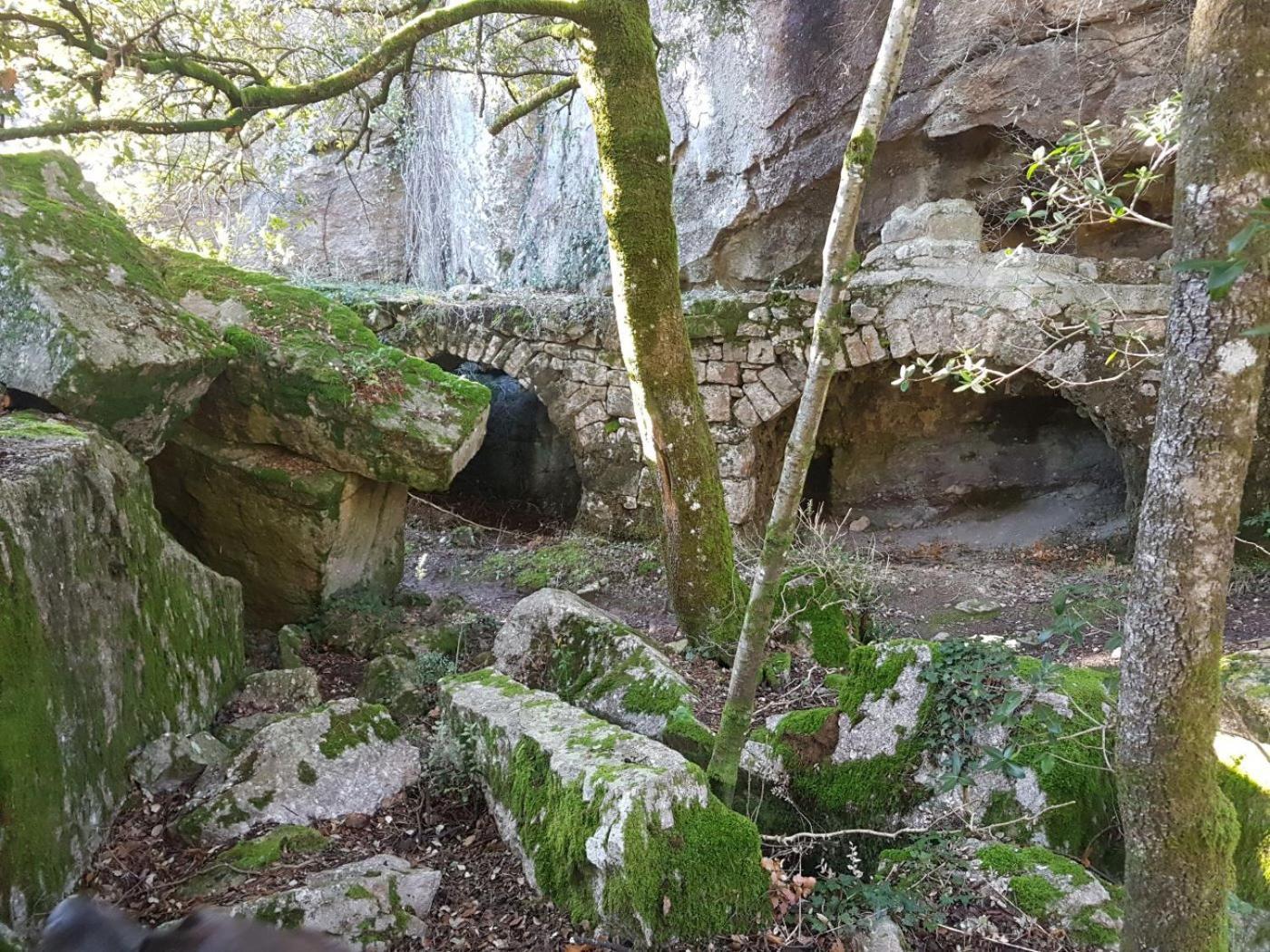 Le Clos Du Cedre Saint Sebastien d'Aigrefeuille Buitenkant foto