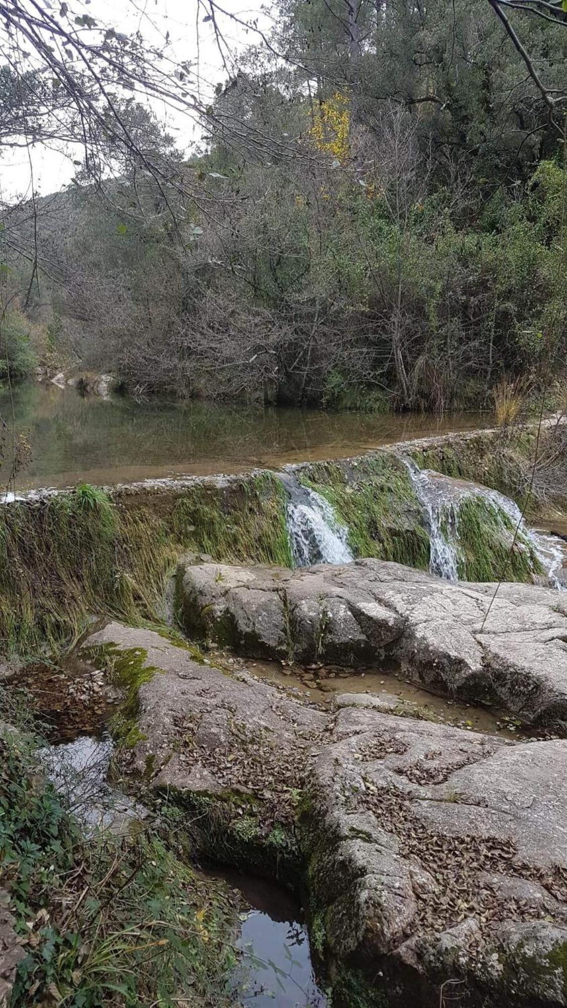 Le Clos Du Cedre Saint Sebastien d'Aigrefeuille Buitenkant foto