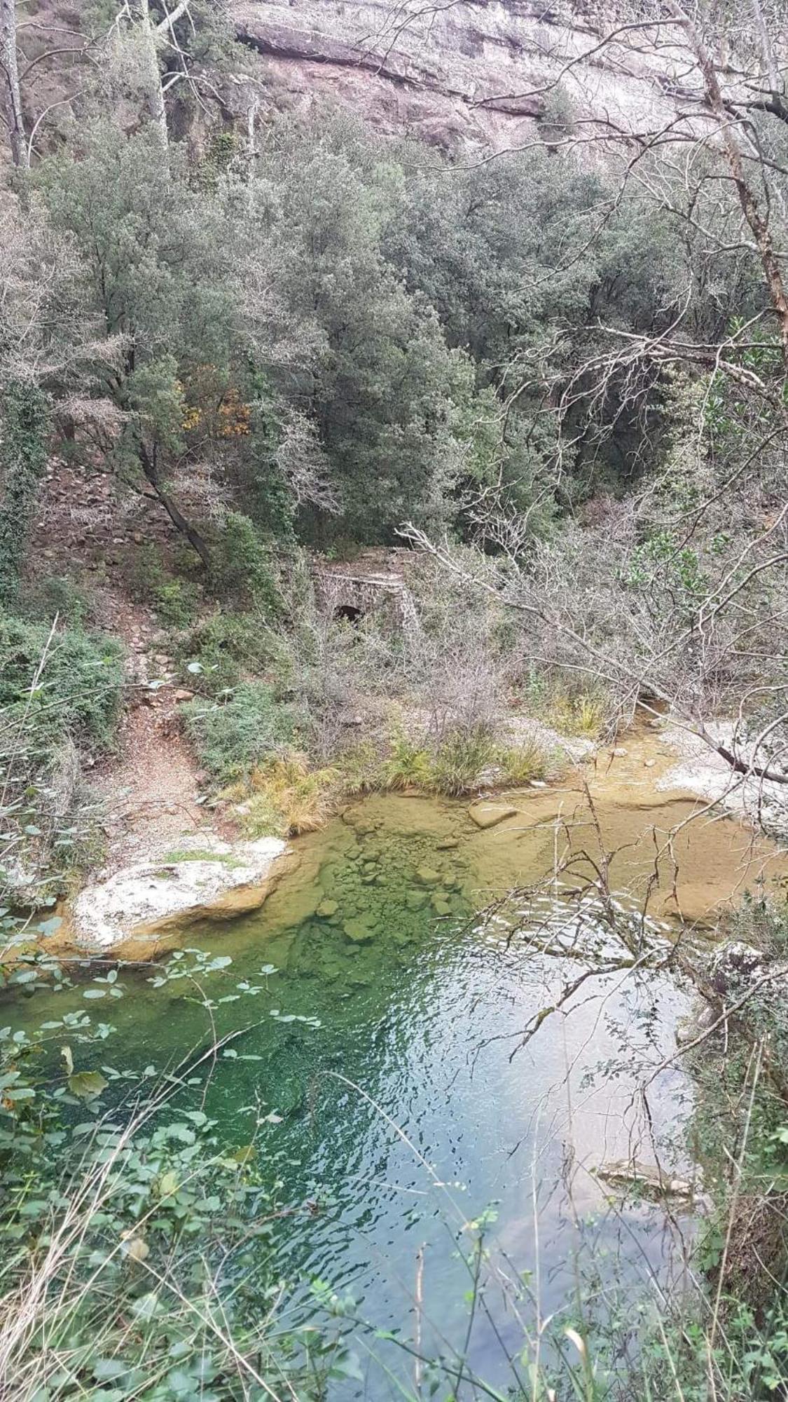 Le Clos Du Cedre Saint Sebastien d'Aigrefeuille Buitenkant foto